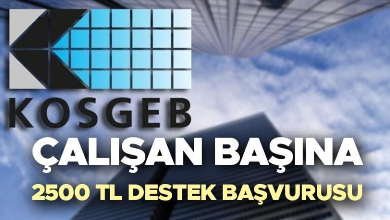 ÇALIŞAN BAŞINA 2500 TL DESTEK TALEBİ 2025 || KOSGEB istihdam koruma programına nasıl başvurulur, koşullar nelerdir ve 2.500 TL destek ödemesini kimler alacak? Cumhurbaşkanı Erdoğan açıkladı!