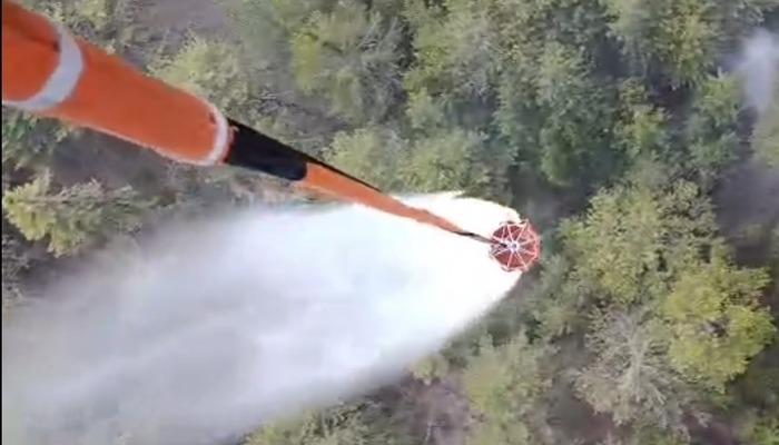 Aydin'deki orman yangını kontrol edildi