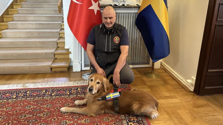 Yüzyılın felaketinde 18 kişiyi kurtaran köpek kahramanı öldü