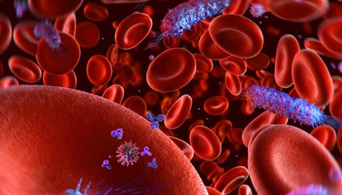 Her 5 ölü için 1: Sepsi! Kan zehirlenmesi nedir?