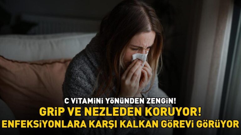 Kilosu 80 TL'ye kadar çıkıyor! Küçük ama faydaları büyük: Grip ve soğuk algınlığına karşı korur ve enfeksiyonlara karşı kalkan görevi görür!
