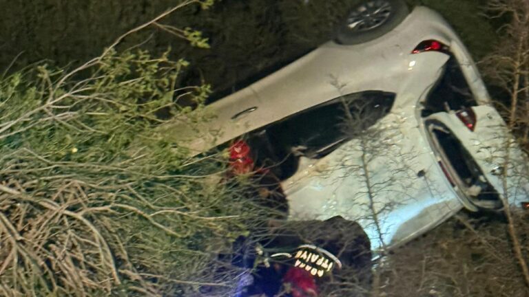 Adana'da uçuruma düşen otomobilin sürücüsü yaralandı